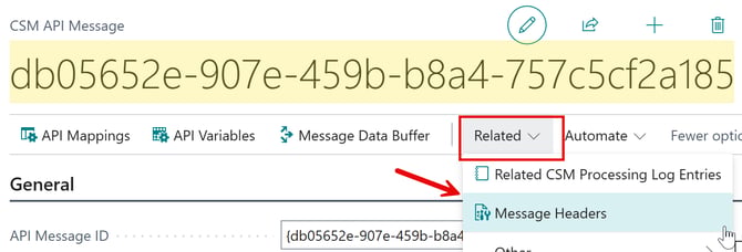 API Message Header Access